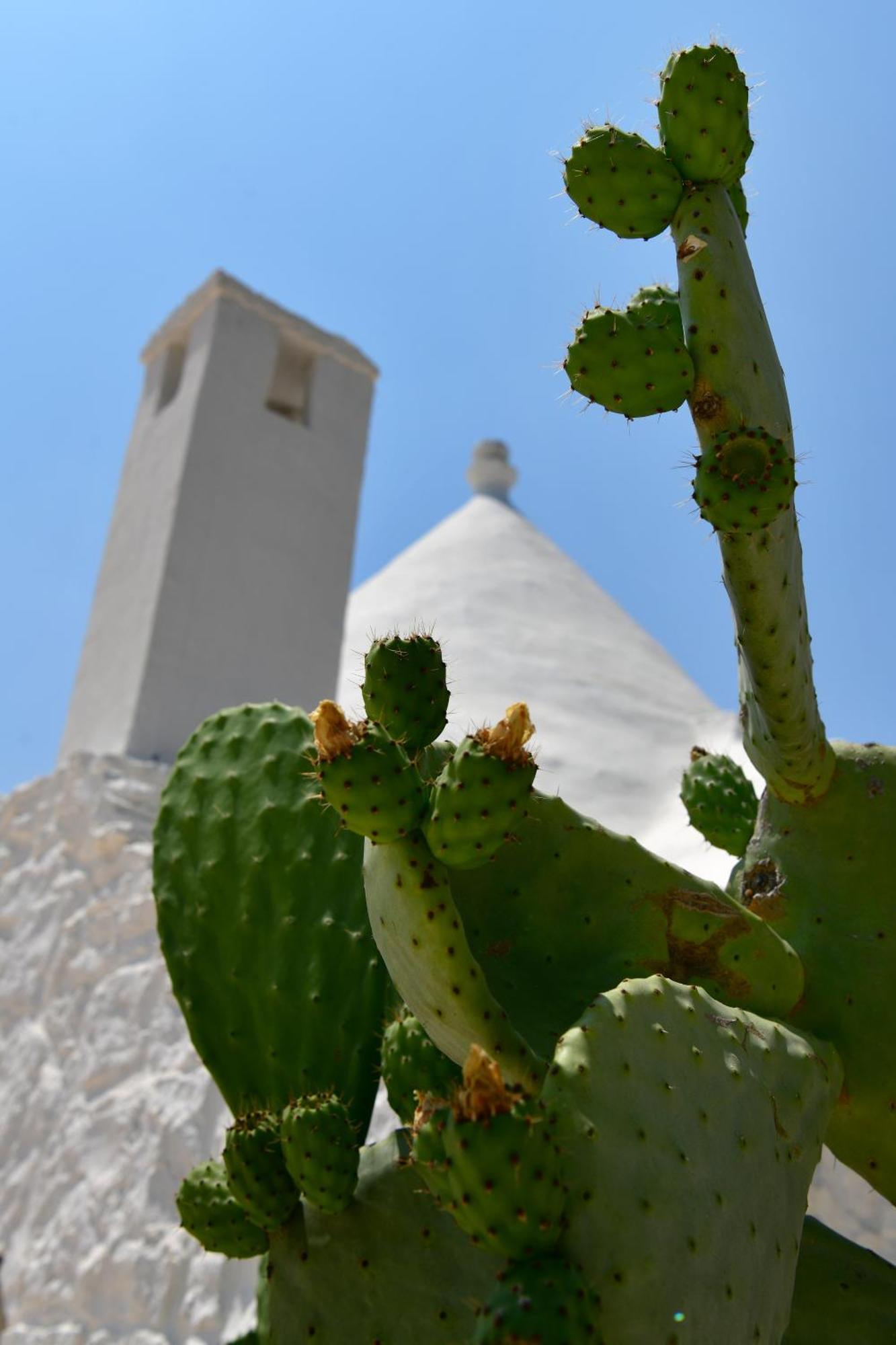 Il Trullo Bianco - Country House & Spa Кастеллана-Гротте Экстерьер фото